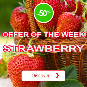 Offer of the week strawberry