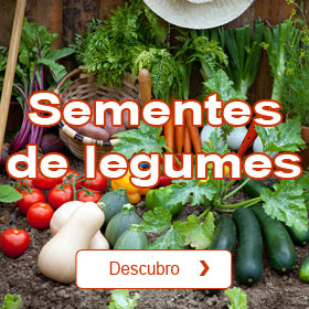 Sementes de legumes