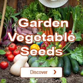 Garden vegetable seeds
