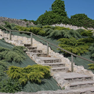 plantes-couvre-sol-plantes-tapissantes