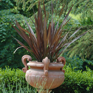 achat-phormium-achat-lin-de-nouvelle-zelande