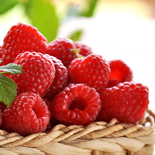 framboisier-murier-rubus-idaeus-fruits-rouges