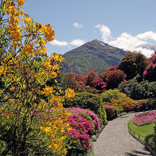 jardin-montagne