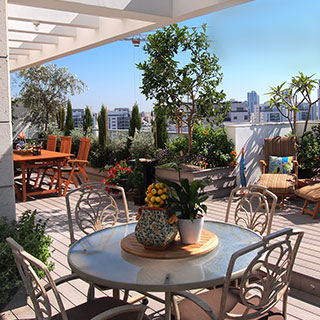 plantes-terrasses-balcons