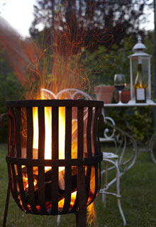 La cendre de bois, un trsor pour le jardin