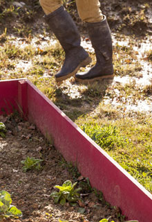 Que planter en zone inondable ?