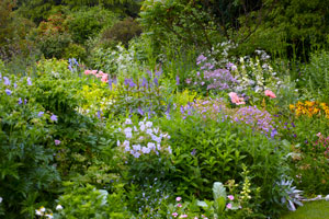 Que planter dans un massif de fleurs