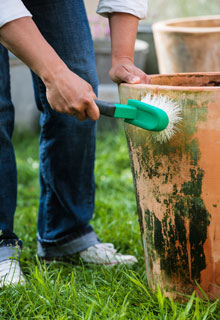 Entretenir les pots pour les faire durer