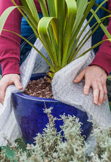 Entretenir les pots pour les faire durer