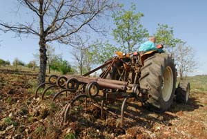 Soil preparation