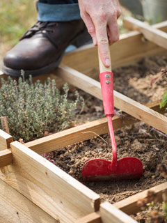 Le faux semis marche aussi dans les tout petits potagers