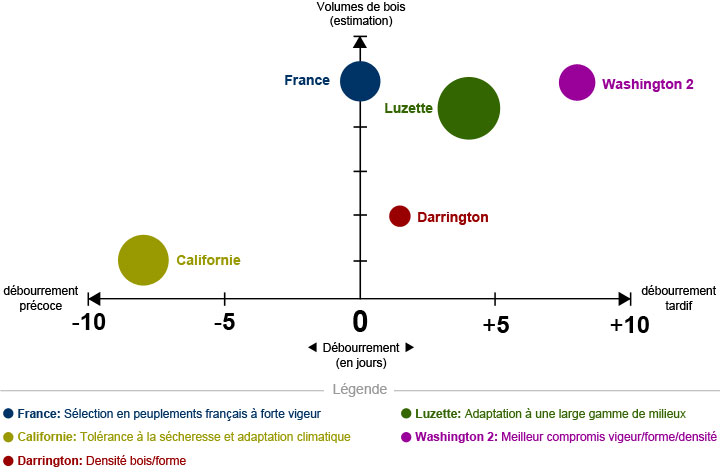 L'Amlioration Gntique du Douglas