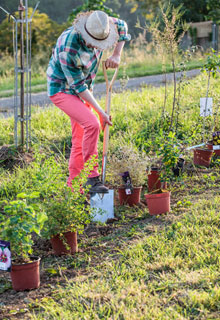 Essayez le jardin naturel