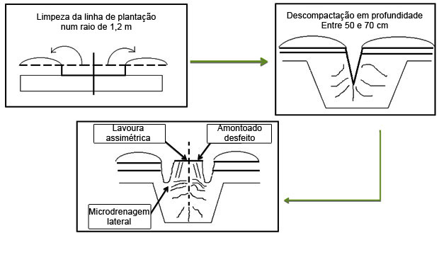 Lavoura florestal