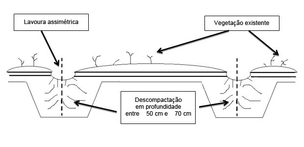 Lavoura florestal