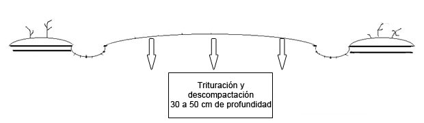Labranza forestal