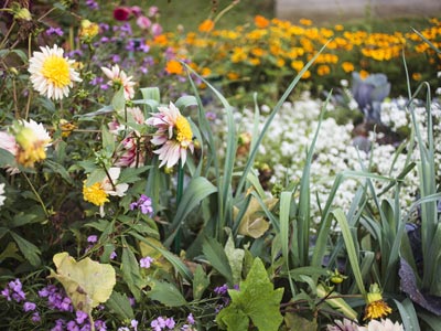 Mariez les lgumes avec les fleurs