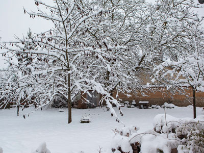 Neige au jardin: que faire ?