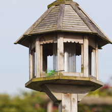 Nourrir les oiseaux du jardin, utile et colo