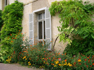 Que planter autour de la maison