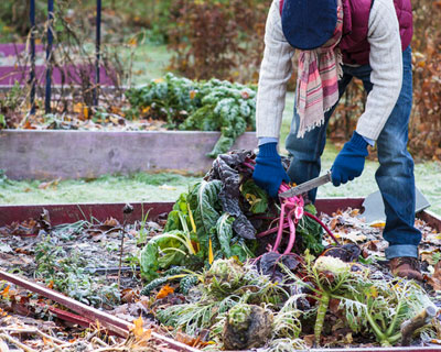 Que faire au potager en hiver ?