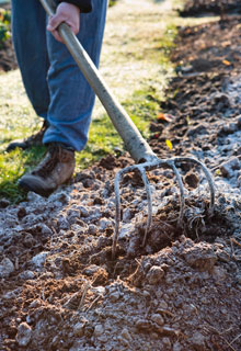 Que faire au potager en hiver ?