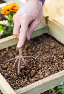 Le semis des lgumes d'hiver