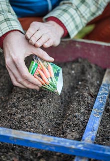 Semer les lgumes de printemps (en plein air)