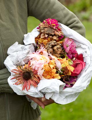 Taille des fleurs fanes