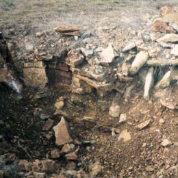 Quelle truffe choisir en fonction du sol et du climat ?