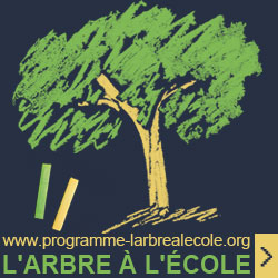 Programme l'arbre  l'cole