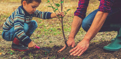 Lograr sus plantaciones