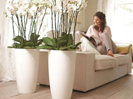 Pots and Planters - Elho - Brussels Diamond range