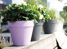 Pots and Planters - Elho - Loft range