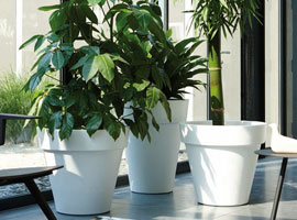 Pots and Planters - Elho - Pure range