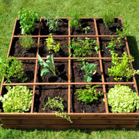 Vegetable plots, Kitchen Gardens