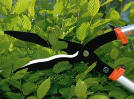 Hedge Clippers