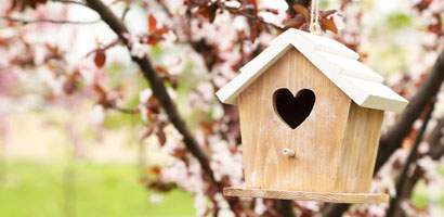 Oiseaux et Auxiliaires du Jardin