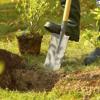 Ferramentas para plantar