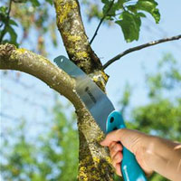 Pruning Saws