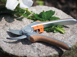 Secateurs