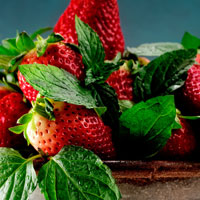 Fresas