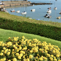 Plantas por jardines junto al mar