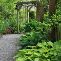 Jardim de sombra