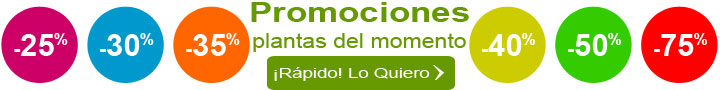 promociones plantas del momento