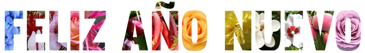FELIZ A�O NUEVO 2026 !
