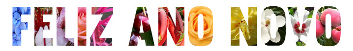 FELIZ ANO NOVO 2026 !