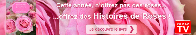 Histoires de Roses