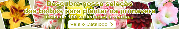 Bolbos para plantar na primavera