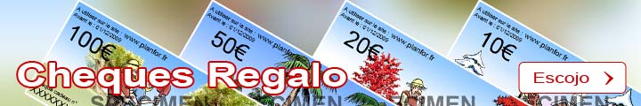 Ofrecer un cheque regalo
